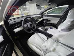 بي واي دي سيل 06 DM-i